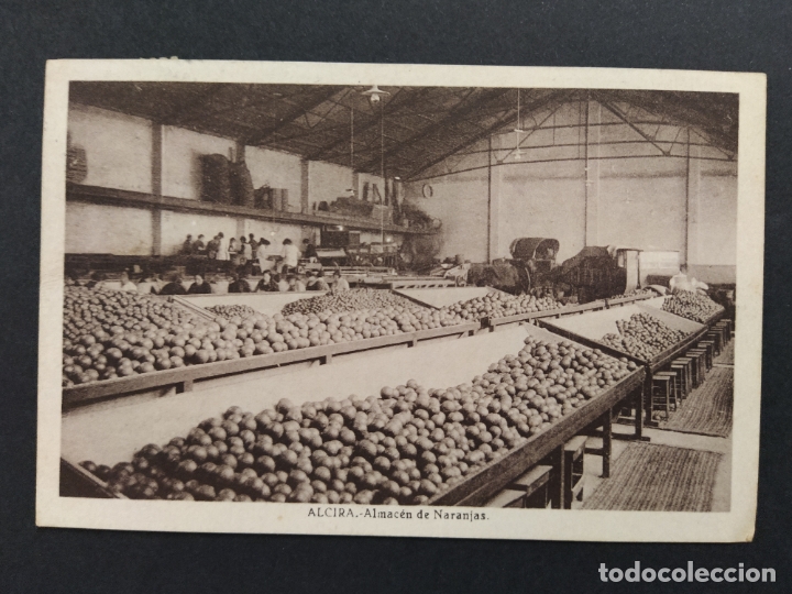 Postais: ALZIRA-ALCIRA-ALMACEN DE NARANJAS-POSTAL ANTIGUA-VER FOTOS-(63.313)