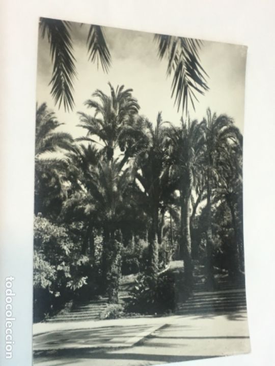 Postales: Postal Original elche - Foto 1