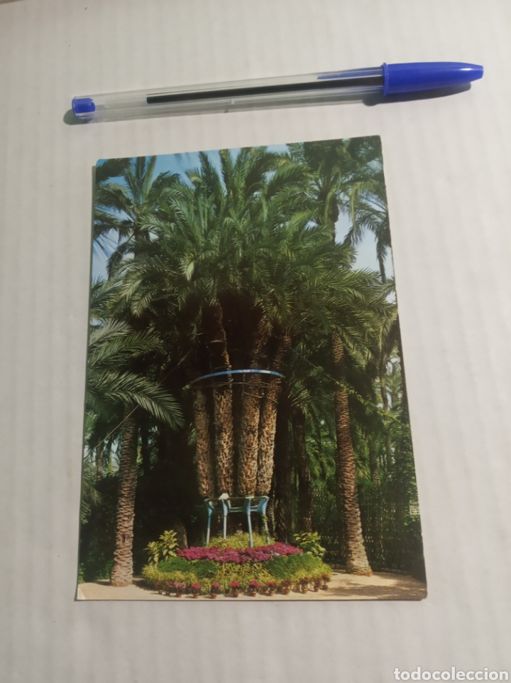 Postales: Elche - Foto 1
