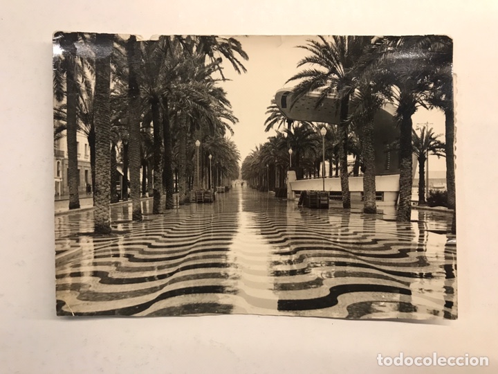 Postkarten: ALICANTE. Postal No.106, Explanada de Espa&ntilde;a. Edita: Foto Hnos. Garcia (h.1960?) Circulada