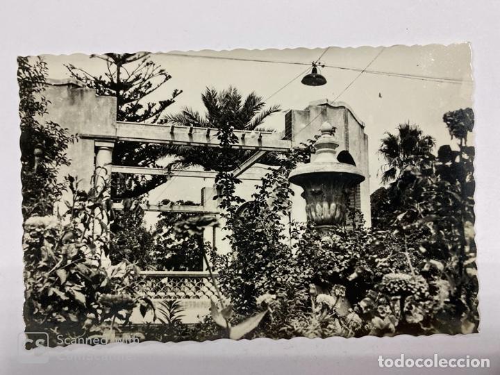 Postcards: TARJETA POSTAL.ALICANTE. 116.-NOVELDA. DETALLE DE JARDIN. KIOSKO DE LA MUSICA. ED. DANIEL BELTRA