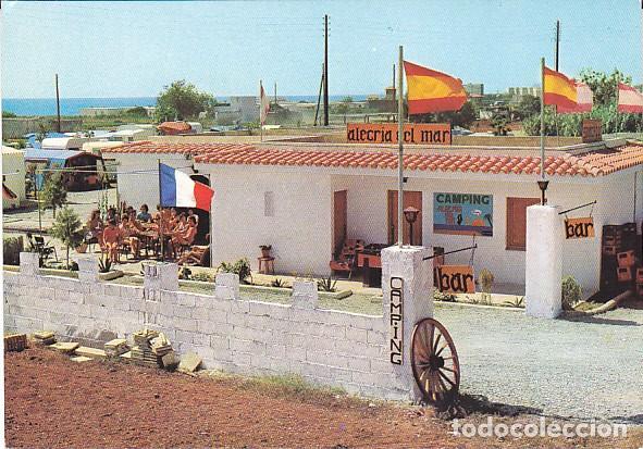 Postais: POSTAL BENICARLO CAMPING ALEGRIA DEL MAR