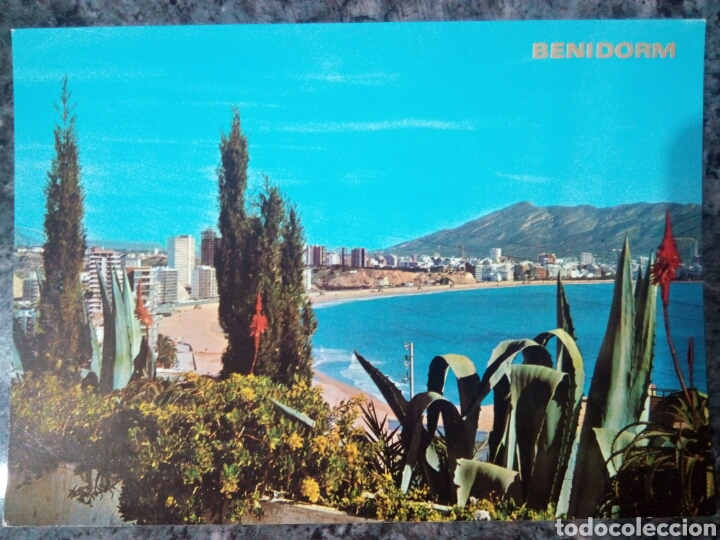 Postales: Postal de Benidorm. Playa. - Foto 1