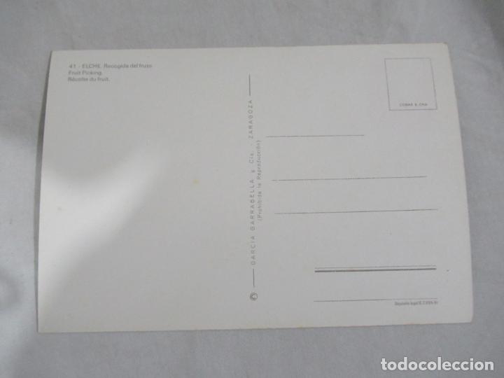Postales: Elche - Recogida del Fruto - S/C - Foto 2