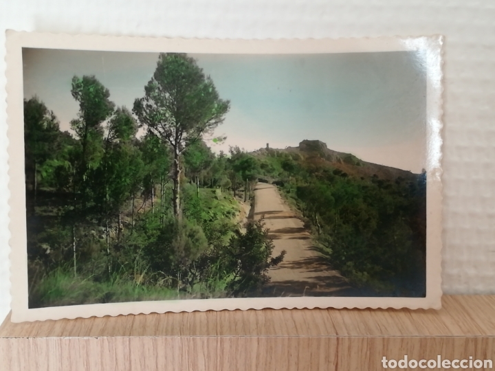 Postales: CASTELLON BENICASIM Desierto de las palmas