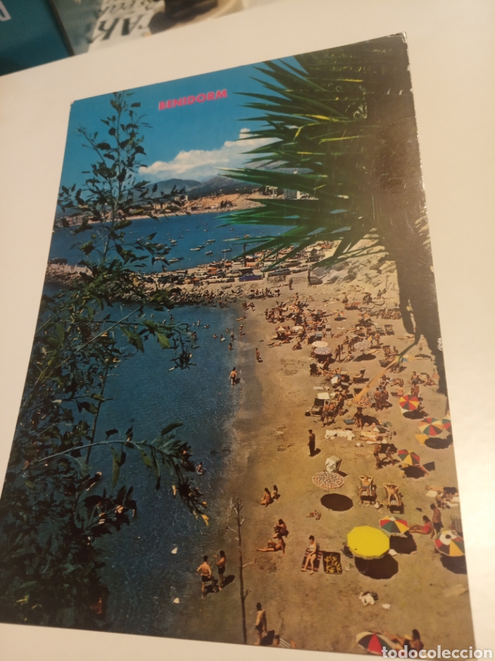 Postales: Postal Benidorm - Foto 1