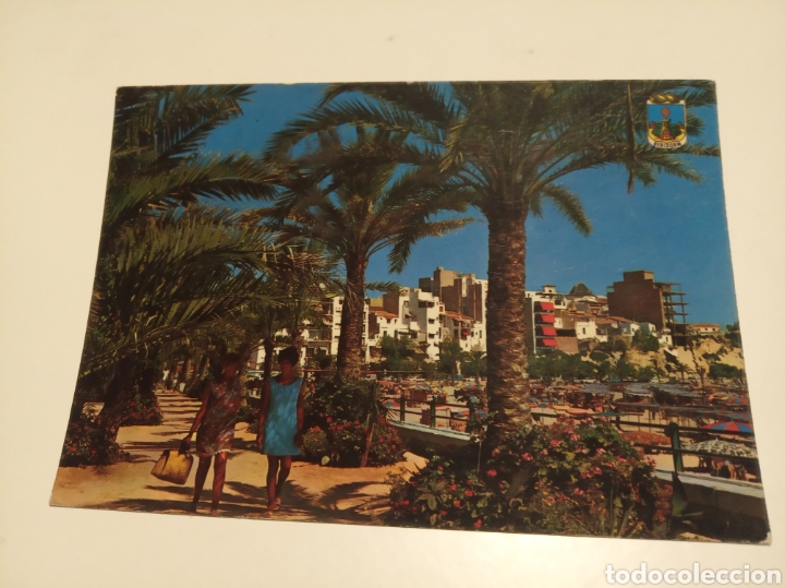 Postales: Postal Benidorm - Foto 1