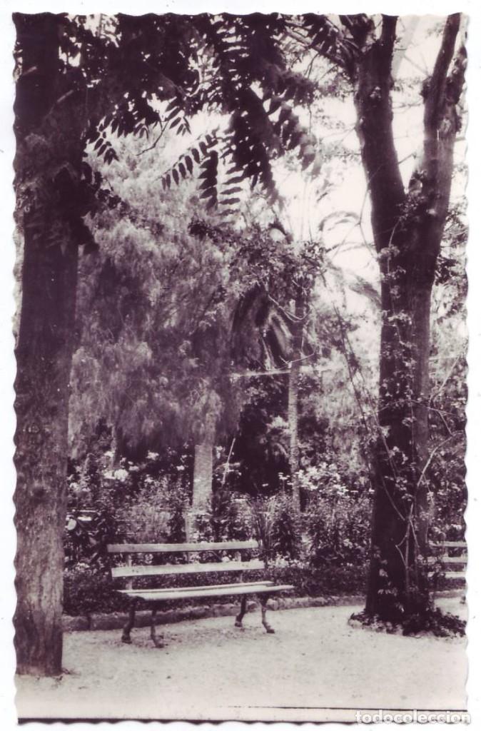 Postcards: Novelda (Alicante): Detalle del Jard&iacute;n del Casino. Ed. Daniel Beltr&aacute;. No circulada (A&ntilde;os 50)