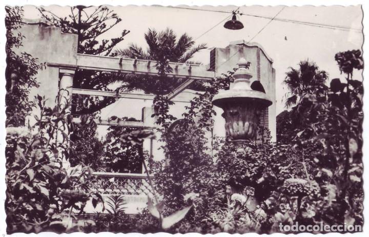 Postcards: Novelda (Alicante): Detalle del Jard&iacute;n y Kiosco de la M&uacute;sica. Daniel Beltr&aacute;. No circulada (A&ntilde;os 50)