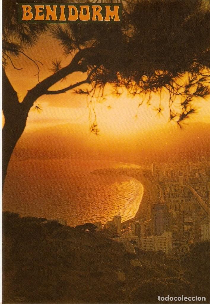 Postales: POSTAL BENIDORM - N&ordm; 33 - Foto 1