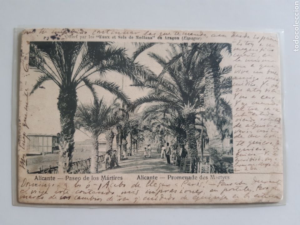 Cartoline: Antigua Postal Alicante paseo de los martires sellada 1908