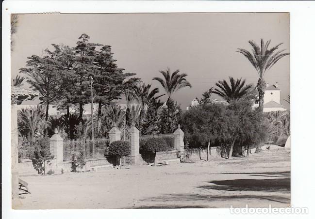 Postcards: GUARDAMAR DEL SEGURA (ALICANTE).- VIVERO CENTRAL