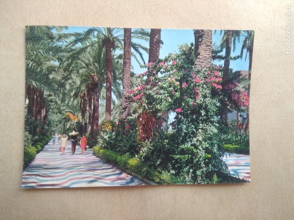 Postcards: Postal alicante, esplanada de espa&ntilde;a y jardines