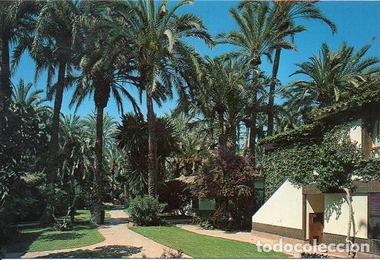 Postales: Elche - 109 Hotel Huerto del Cura - Zona de Habitaciones