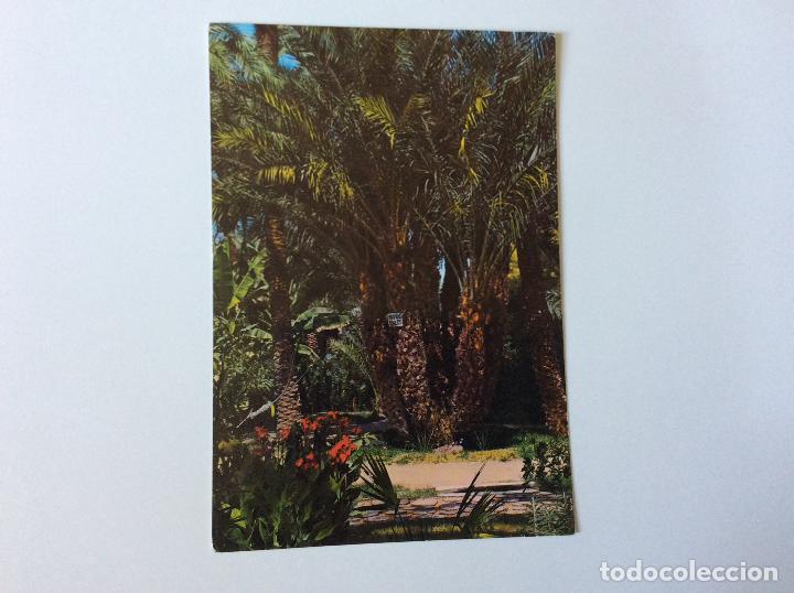 Postales: ELCHE ALICANTE - Foto 1