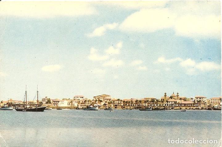 Postcards: TORREVIEJA VISTA DESDE EL PUERTO DE LA SAL - NUEVA