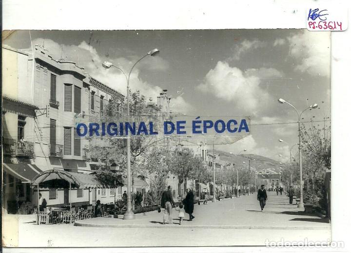 Cartes Postales: (PS-63614)POSTAL DE CIEZA-PASEO DE LOS MARTIRES