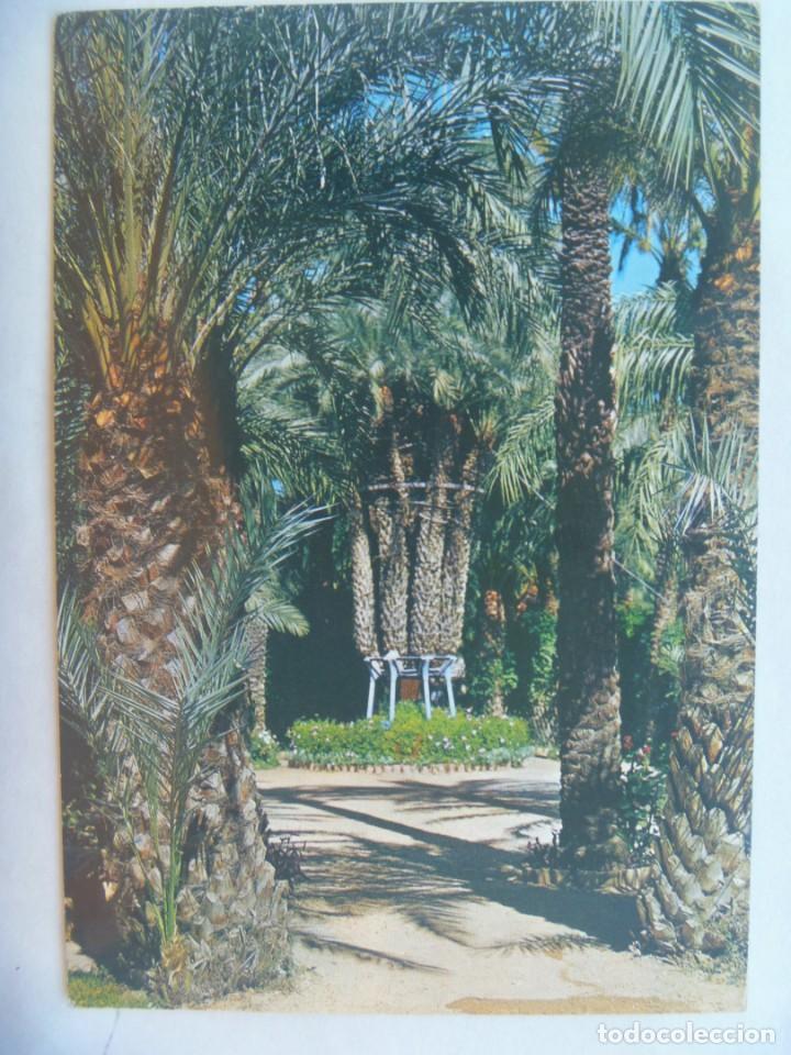 Cartoline: POSTAL DE ELCHE ( ALICANTE ): HUERTO DEL CURA, PALMERA IMPERIAL . A&Ntilde;OS 60
