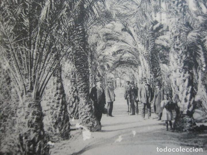 Postais: ELCHE-HUERTO DEL ROSARIO-THOMAS-POSTAL ANTIGUA-(74.170)