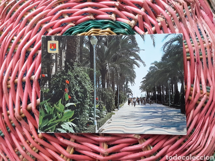 Postales: Alicante - Foto 1