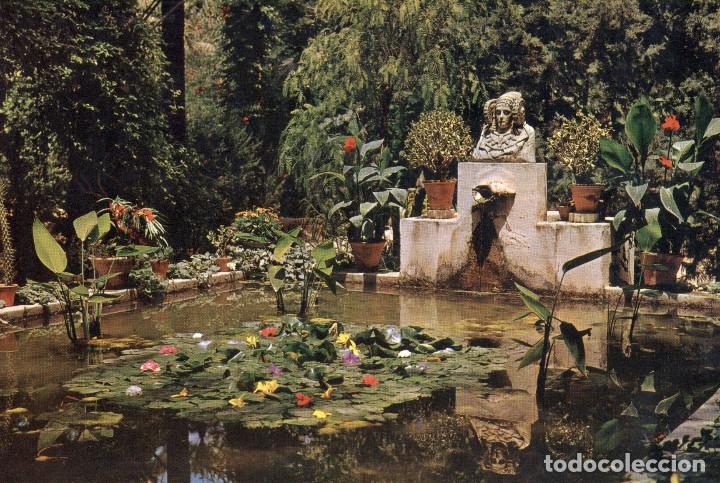 Postales: Postal antigua de Elche - Foto 1