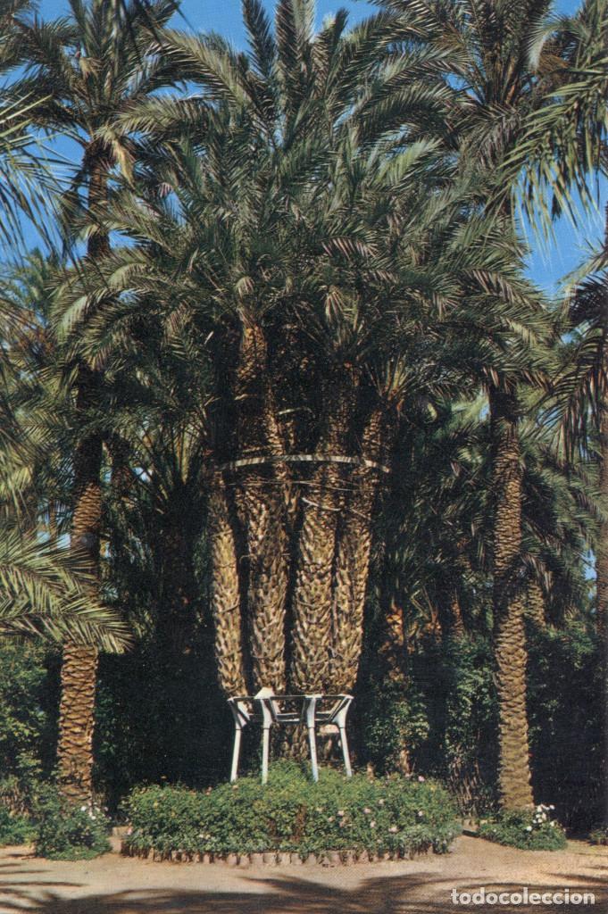 Postales: Postal antigua de Elche - Foto 1