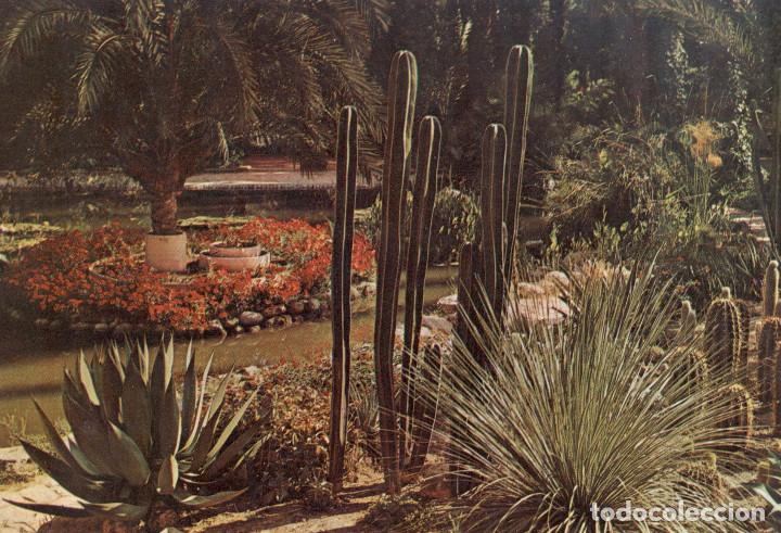 Postales: Postal antigua de Elche - Foto 1