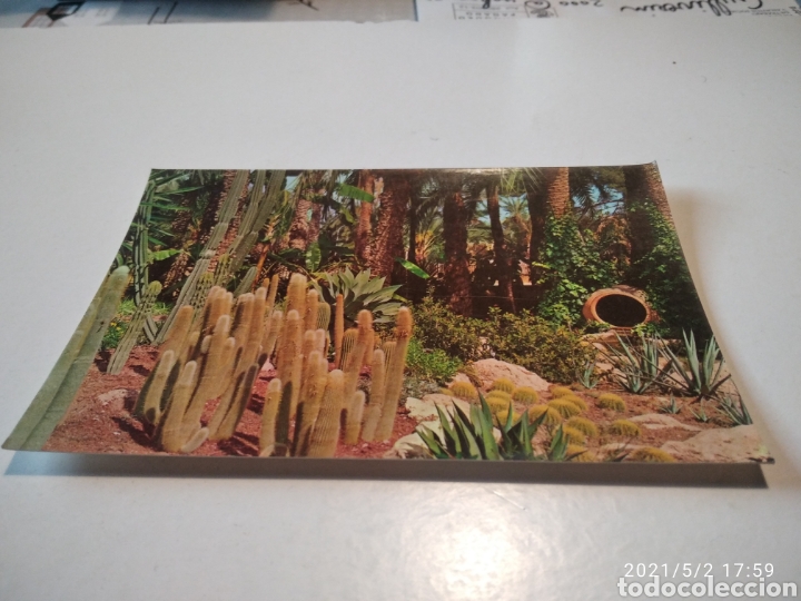 Postales: Elche - Foto 1