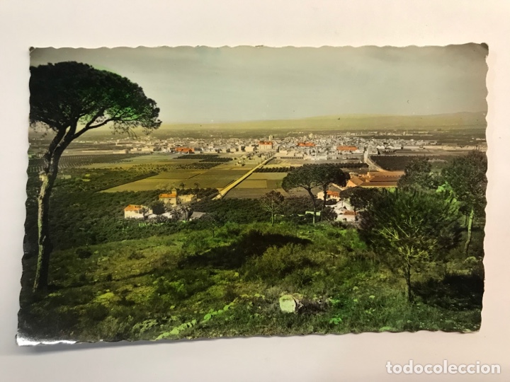 Postcards: ALCIRA (Valencia) Postal Coloreada No.16, Vista Panoramica., Edic., Arribas (h.1960?) dedicada..