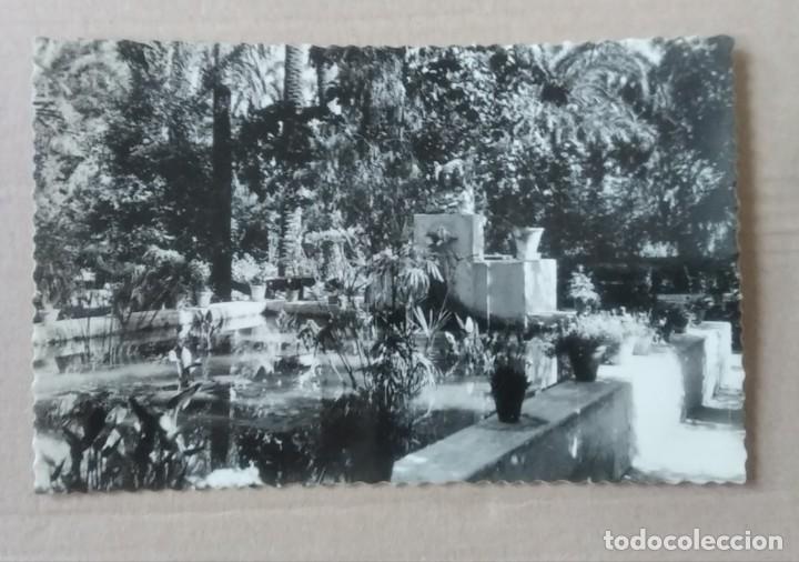 Postcards: Postal Elche huerto del cura a&ntilde;os 50