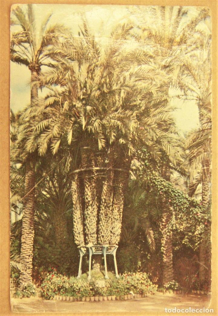 Postales: POSTAL DE ELCHE 1960 - Foto 1