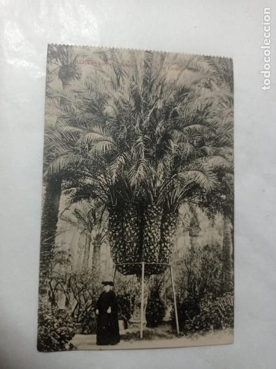 Postales: Elche Original no copia. Ref.auto - Foto 1