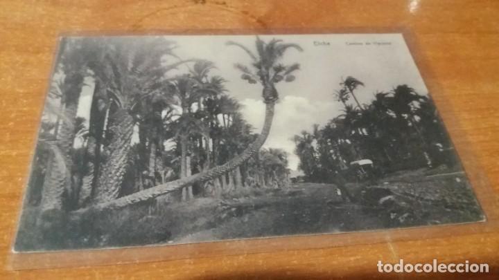Postales: Postal de Elche - Foto 1
