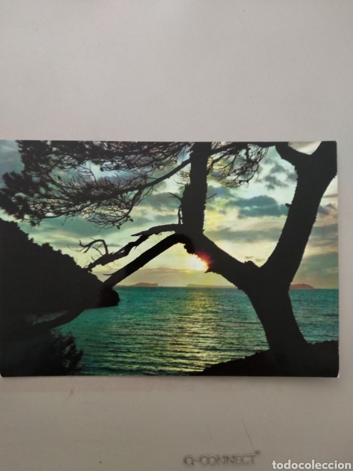 Postkarten: POSTAL SALIDA DEL SOL A&Ntilde;OS 60