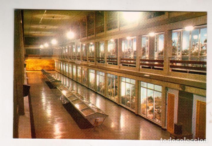 Postales: MUSEO DE CIENCIAS NATURALES ”EL CARMEN” - (ONDA, CASTELLON DE LA PLANA) - 1969 - SIN CIRCULAR - Foto 1 - 302639293