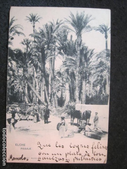 Postkarten: ELCHE-PAISAJE-HAUSER Y MENET-REVERSO SIN DIVIDIR-POSTAL ANTIGUA-(86.804)