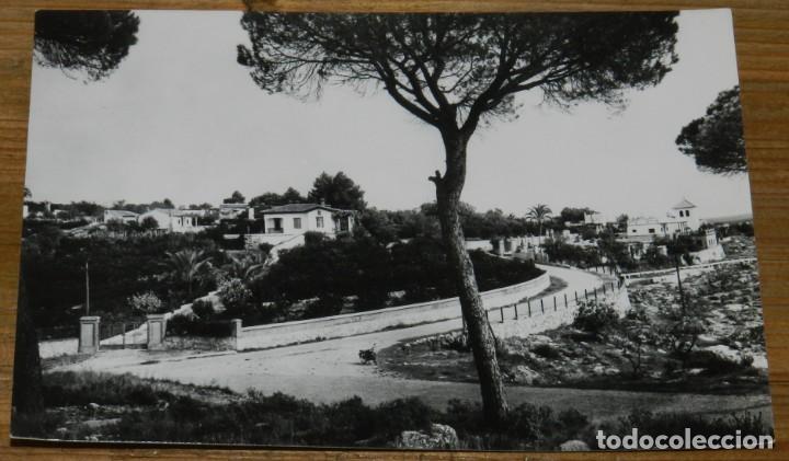 Postkarten: FOTO POSTAL DE ALCIRA, N. 66, CHALETS DEL MONTE BLANCO, NO CIRCULADA, ESCRITA.