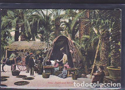Postales: POSTAL ELCHE CLASIFICANDO DATILES - Foto 1