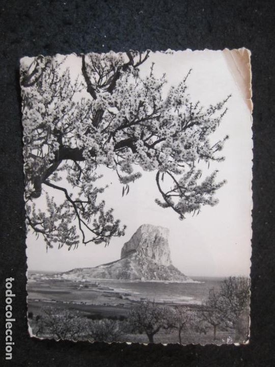 Postcards: CALPE-ALMENDROS EN FLOR Y PE&Ntilde;ON DE IFACH-FOTO SANCHEZ-215-POSTAL ANTIGUA-(89.543)