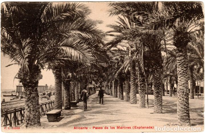 Postais: BONITA POSTAL - ALICANTE - PASEO DE LOS MARTIRES - ESPLANADA - P.Z. 10069
