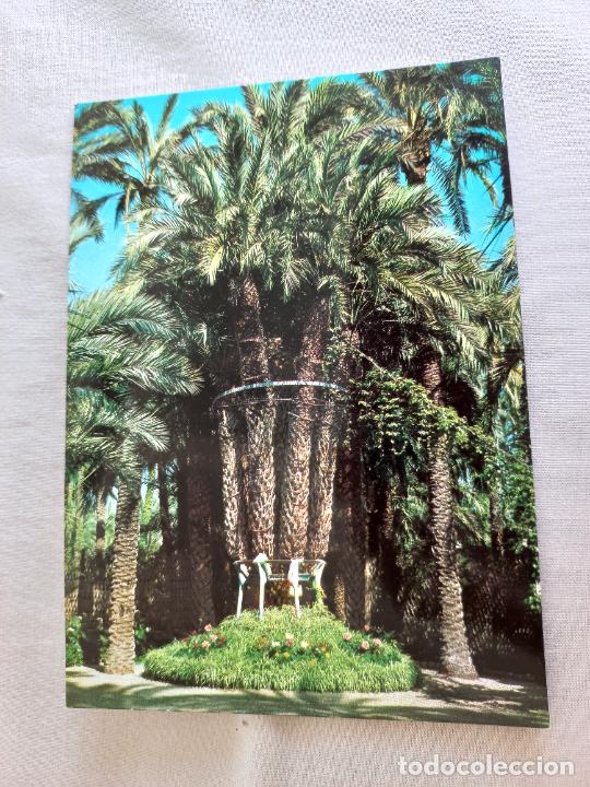 Postales: N&ordm; 140 ELCHE HUERTO DEL CURA PALMERA IMPERIAL ALICANTE EDICIONES INTER BURGOS A&Ntilde;OS 60-70 POSTAL S/C