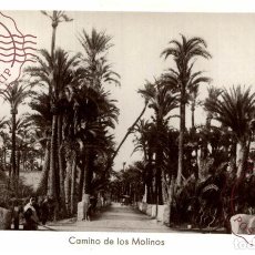 Cartes Postales: ALICANTE - ELCHE, CAMINO DE LOS MOLINOS. Lote 327153408