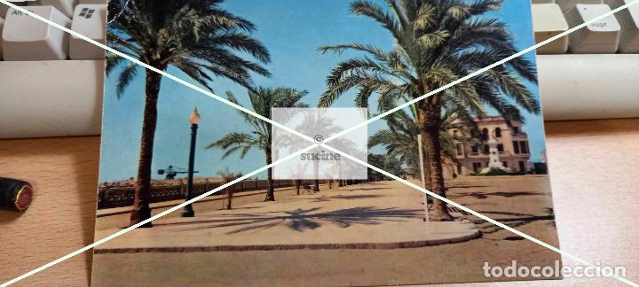 Postcards: POSTAL ORIGINAL PASEO MARITIMO DE VINAROZ CASTELLON
