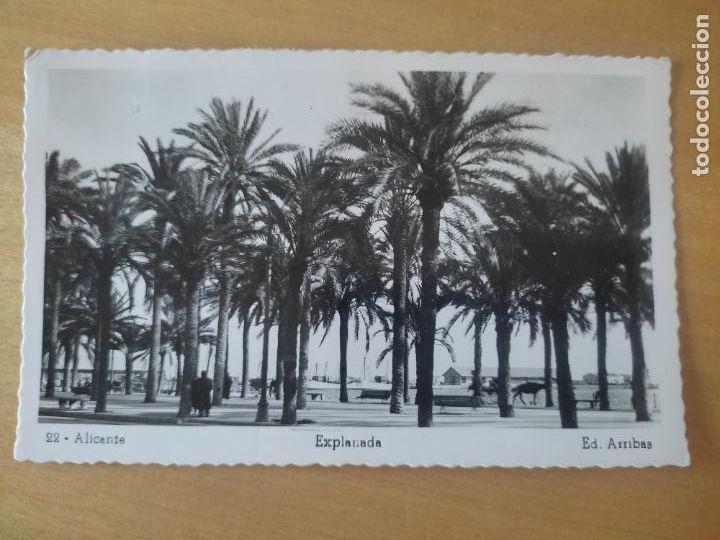 Postkarten: EXPLANADA ALICANTE ED ARRIBAS N&ordm; 22 CIRCULADA BLANCO NEGRO