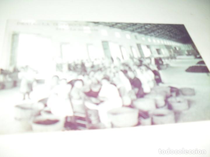 Postcards: REPRODUCCIONES POSTALES EN LA HISTORIA DE ALICANTE:DENIA+SELLO.INFORMACION,2001.