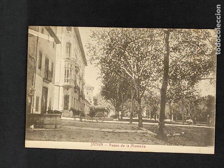 Postkarten: POSTAL - JATIVA - PASEO DE LA ALAMEDA -