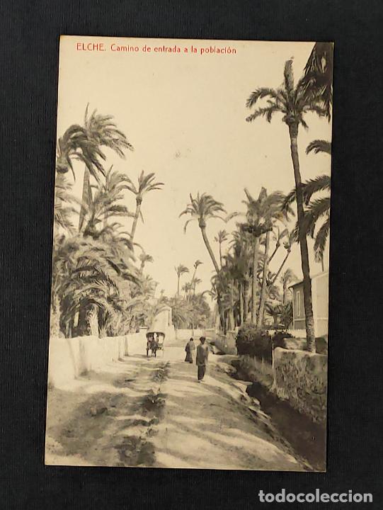 Cartoline: POSTAL - ELCHE - CAMINO DE ENTRADA A LA POBLACION -