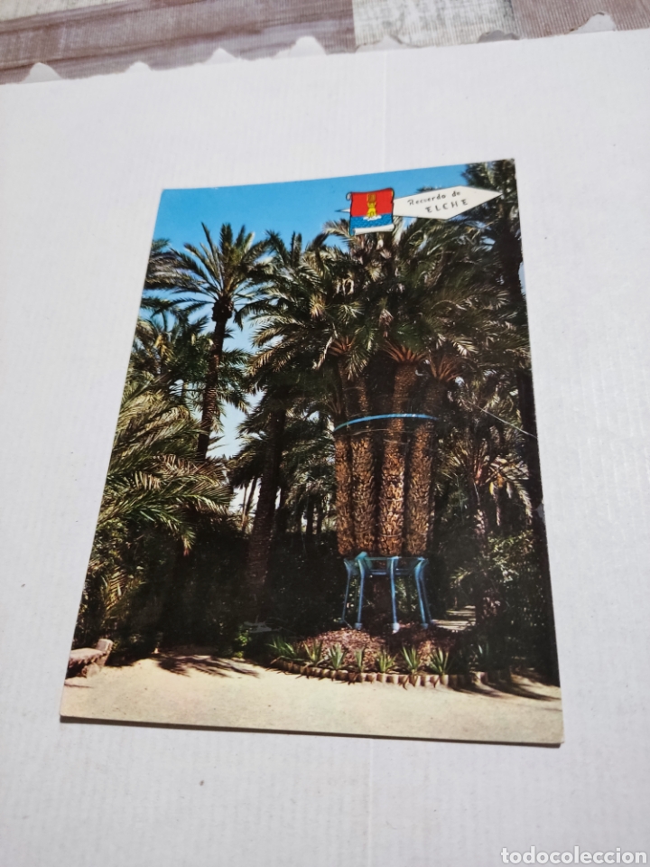 Postales: Postal Elche - Foto 1