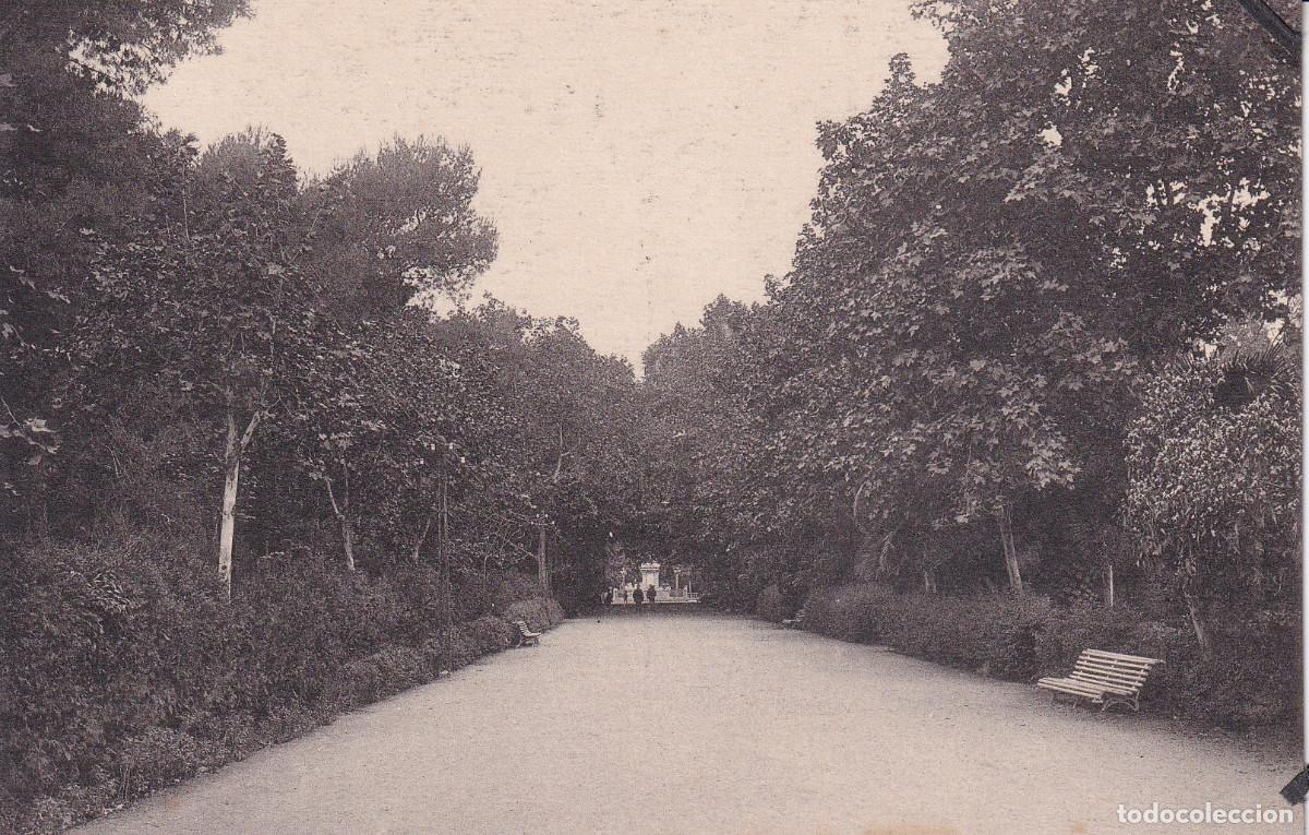 Postkarten: CASTELLON DE LA PLANA PASEO DEL OBELISCO