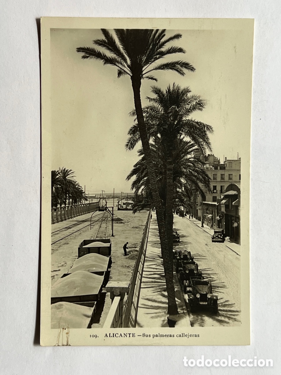 Postkarten: ALICANTE. Postal animada No.109, Sus palmeras callejeras. Foto Roisin (h.1940?) S/C